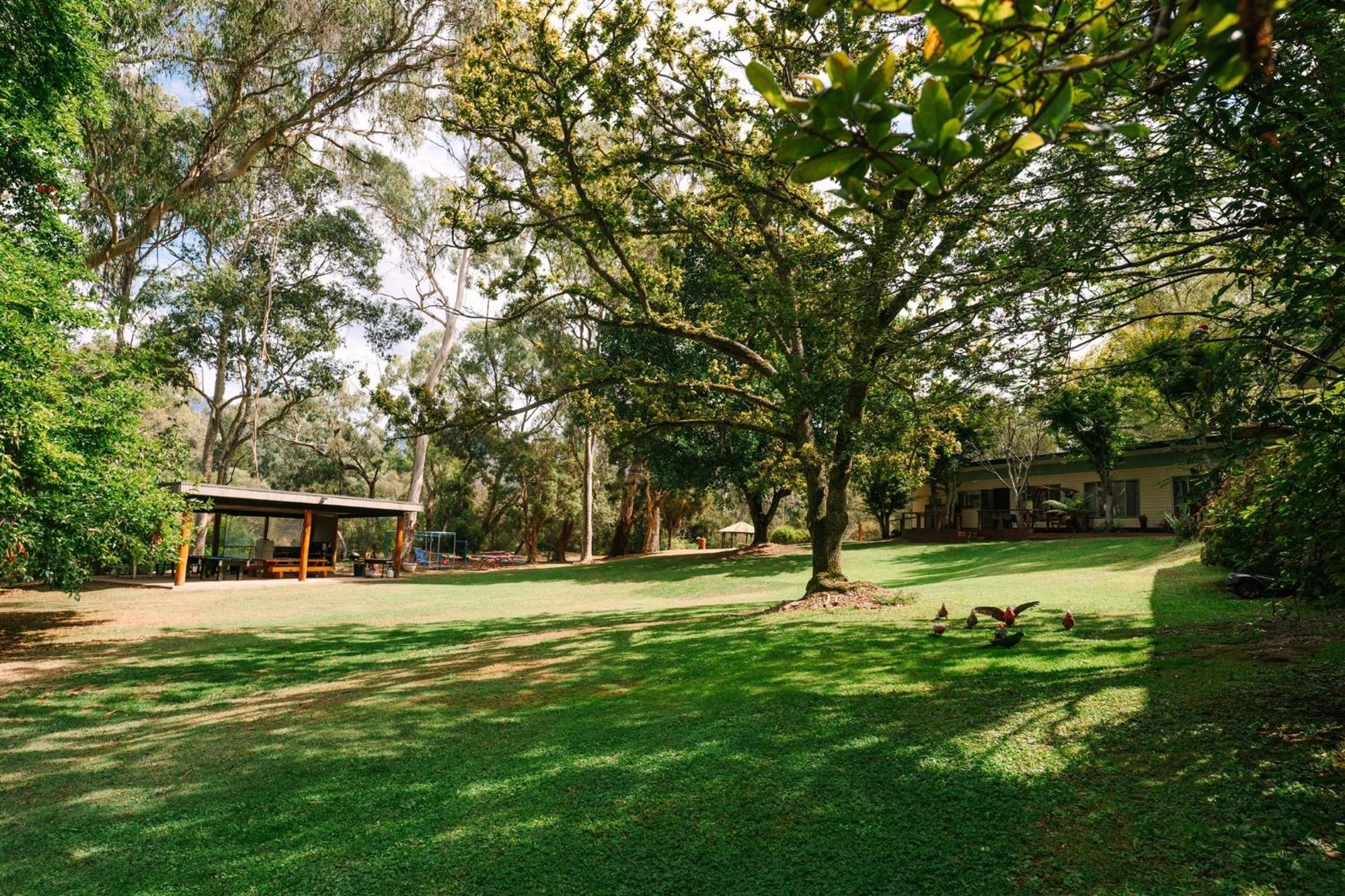Alpine Riverside Cottages Porepunkah Exteriör bild