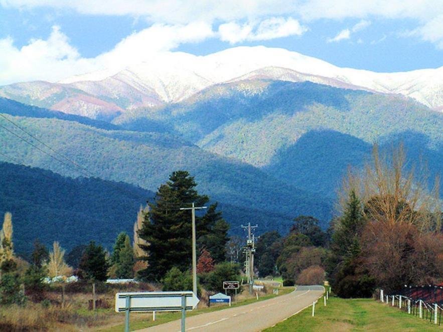Alpine Riverside Cottages Porepunkah Exteriör bild